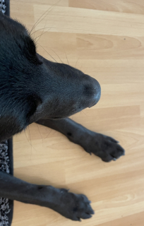 photo/89f0549b-ce23-4804-9439-ce5aa3c470d7-3