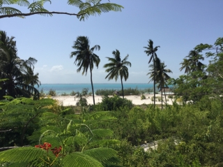 Sansibar, Michamvi Kae